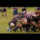 image 10 of 50